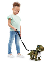 Pitter Patter Pets Dancing Dinosaur (3+ Yrs)  Adomoo